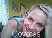 Coyotes Topeka, United States Of America, USA