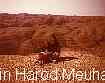 Kibbutz Ein Harod Meuhad  , Israel