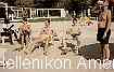 Hellenikon American Air B Athens, Greece