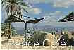 Peace Café Eilat, Israel