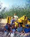 Kibbutz Bar Am (Baram)  , Israel