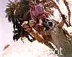 Previous