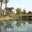 Kibbutz Nir David  Tel Amal, Israel