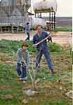 Kibbutz Sede Yoav  , Israel