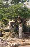 Kibbutz Yahel  , Israel