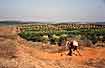 Kibbutz Yakum  , Israel