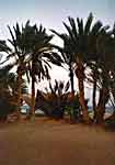 Moshav Neviot Nueba, Nuweiba, Israel