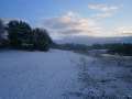 Forfar Loch Winter 2013 , Scotland, UK