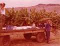 Kibbutz Ginnosar (Nof Ginosar)  , Israel